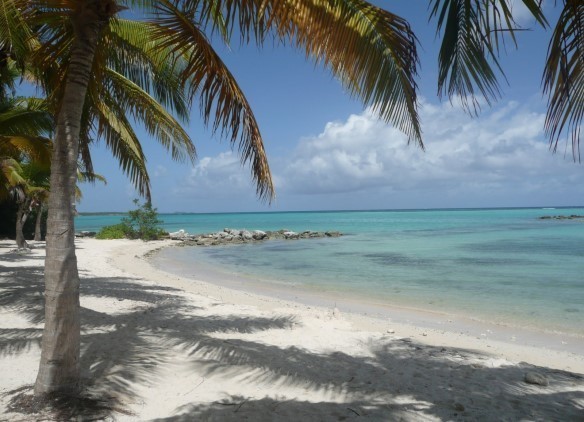 Plage de l'ancien Hotel de Luxe Le Méridien à Saint François Guadeloupe à 100 m des villas du Lagon du Hamak Plage de l'ancien Hotel de Luxe Le Méridien à Saint François Guadeloupe à 100 m des villas du Lagon du Hamak