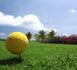 Le Golf de 18 trous devant la Villa de luxe de Guadeloupe