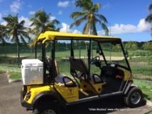 Voiture électrique à disposition dans la villa Boubou