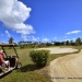 au centre du golf de Guadeloupe