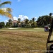 le golf et la résidence le Hamak Guadeloupe