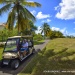 Le long de la résidence les Jardins du Hamak guadeloupe